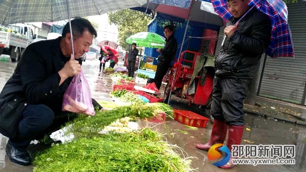 图为市民在冒雨购买荠菜