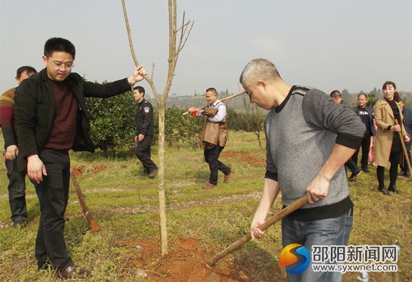 党员干部正在植树