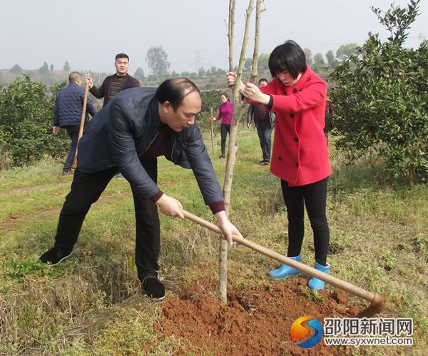 党员干部正在植树