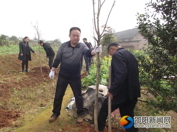 党员干部正在植树