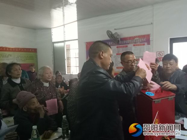 党员正在进行投票选举