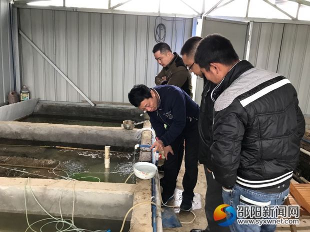 邵阳市国税局驻村工作组实地考察生态泥鳅养殖
