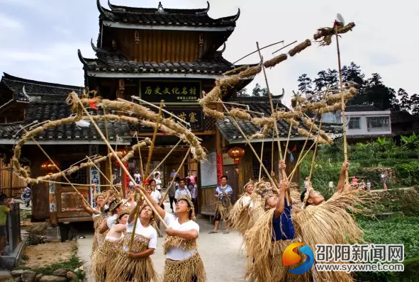 舞草龙