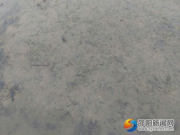QQ图片20170421101806