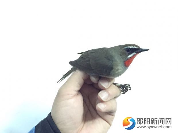 QQ图片20170421162724