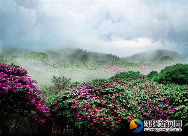 IMG_1648-1_看图王