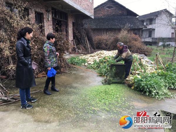 图片2副本