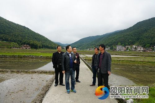 察看农田改造情况