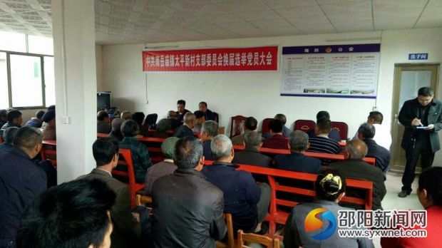 太平新村支部委员会换届选举党员大会