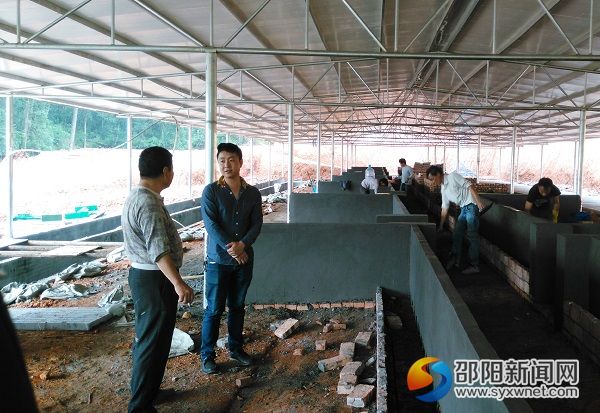 陈亮亮(左二)在指导富丰合作社猪场施工
