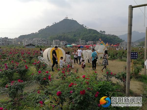 玫瑰园1