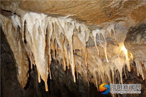 一、富丽鹅管DSC03153