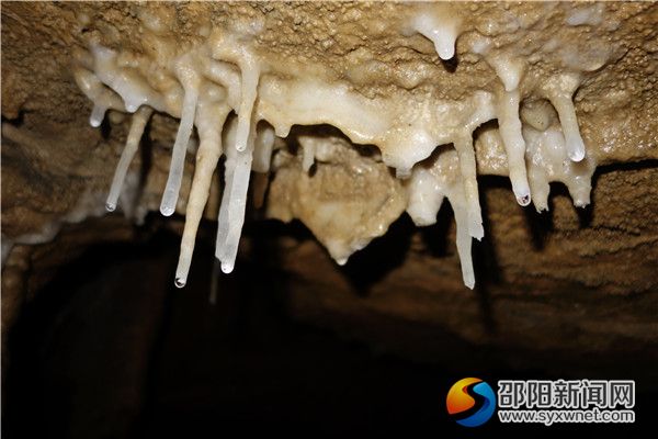 八、鹅管幼儿DSC03248
