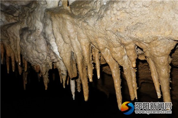 十、鹅管公公DSC03222