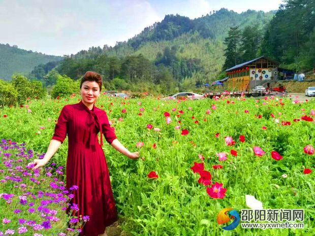 游客在花丛中拍照。