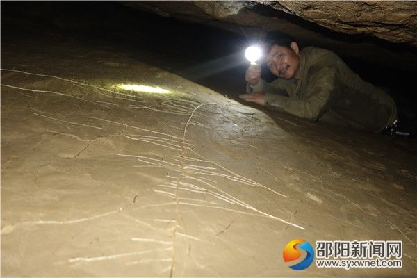 五、发现植物DSC04101