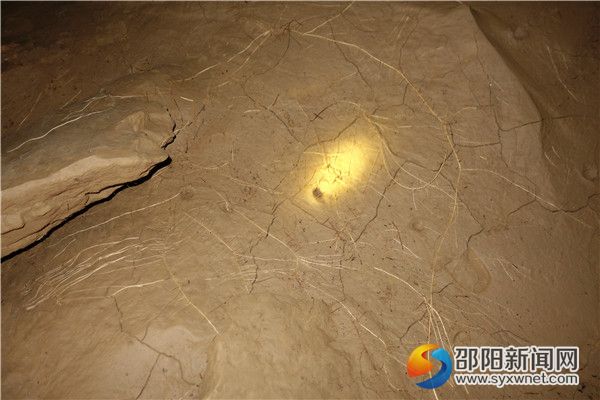 九、数量繁多DSC03916