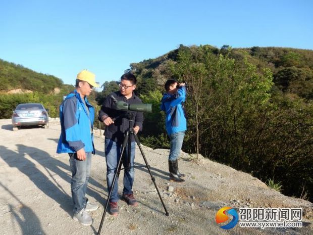 在老师的指导下观鸟