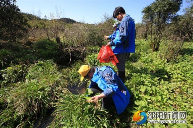 认真采集湿地植物标本