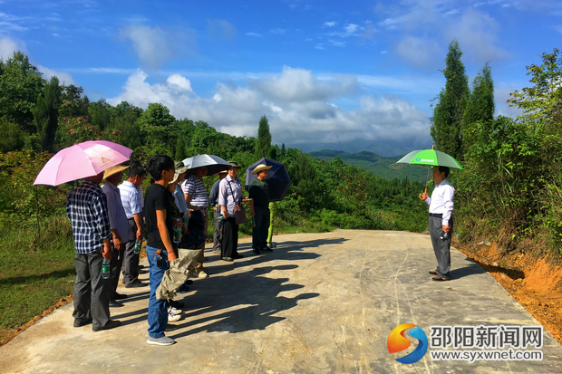 图为新修的越过隧洞山顶公路