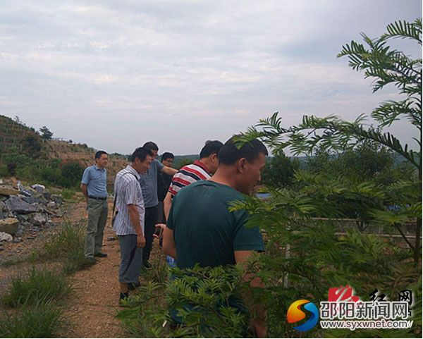 图为考察调研现场