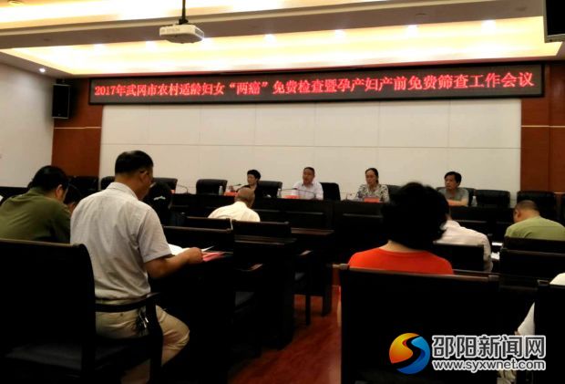 武冈市“两癌免费检查”、产前筛查会议