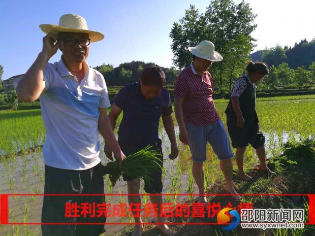c插秧2_看图王