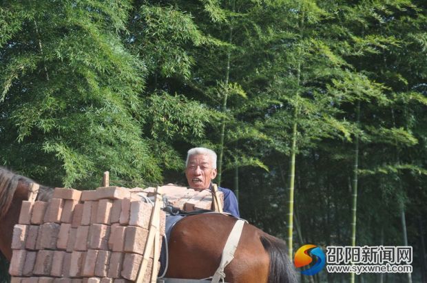 马帮
