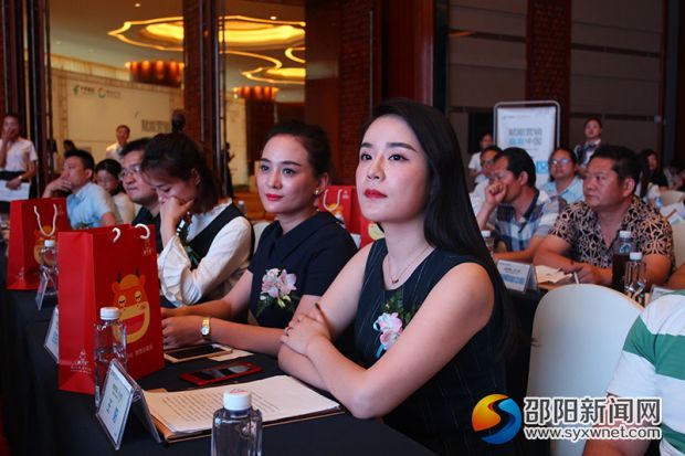 邵阳参加峰会的企业家。