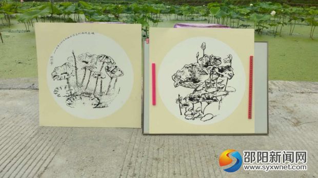 图为画家画的荷花