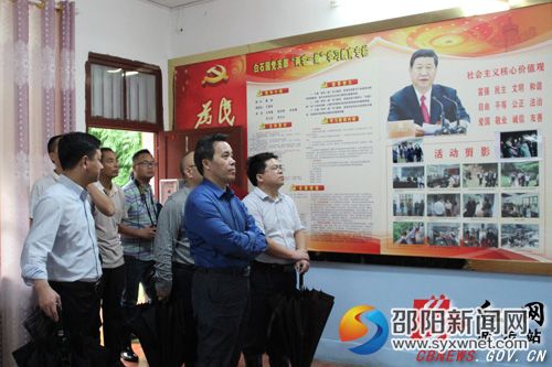 3市委常委、市纪委书记邓广雁查看儒林镇金水村基层党建、精准扶贫等工作宣传栏