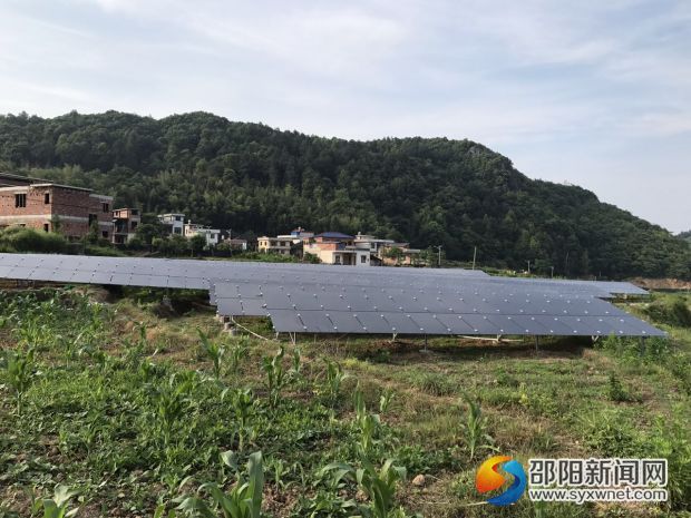 建成的桂山村光伏发电项目。
