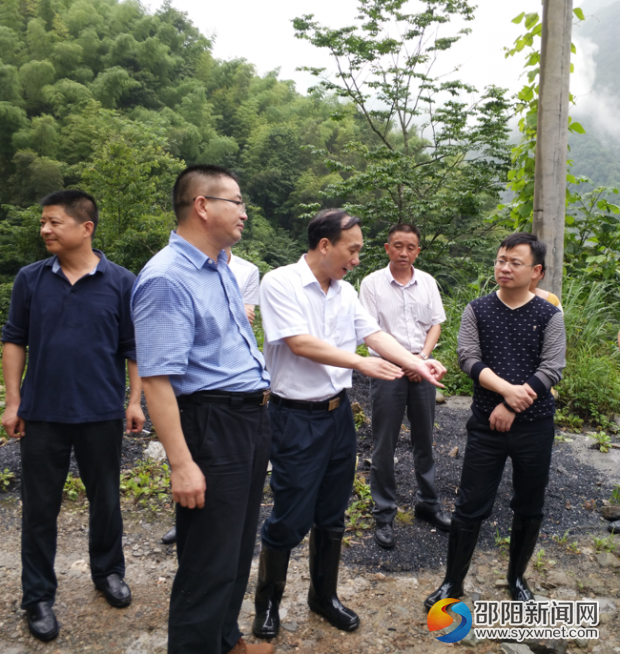 图为县委副书记、县长杨博理现场指导地质灾害隐患治理