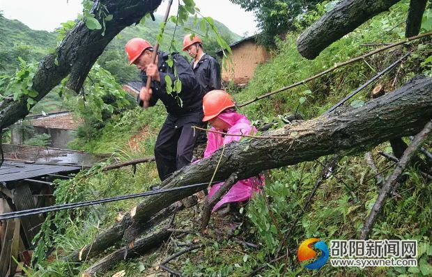 杨柳院倒杆抢修