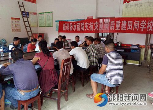 图片_副本