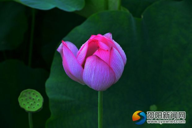 QQ图片20170709101605