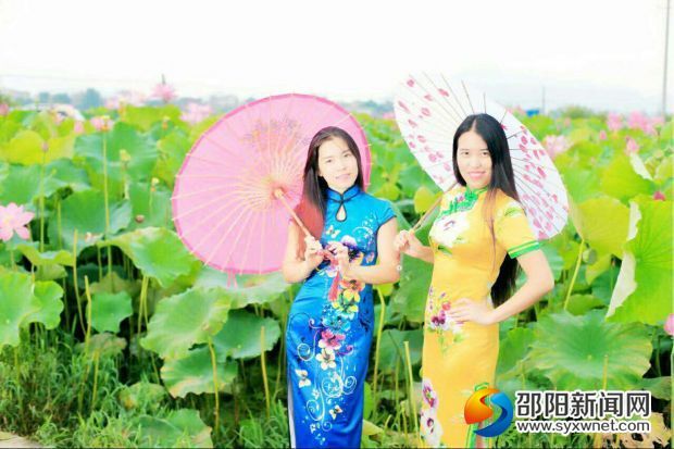 武冈市民观赏荷花并合影。