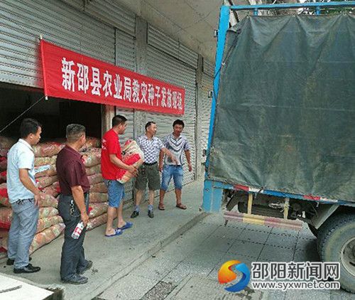 图片_副本