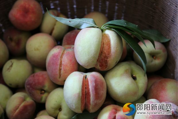 6_meitu_6