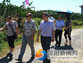 唐怡胜(前排右一)调研玉辉农林公司猕猴桃基地