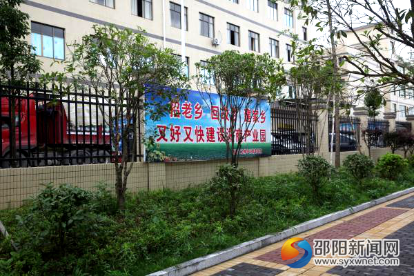 园区绿化