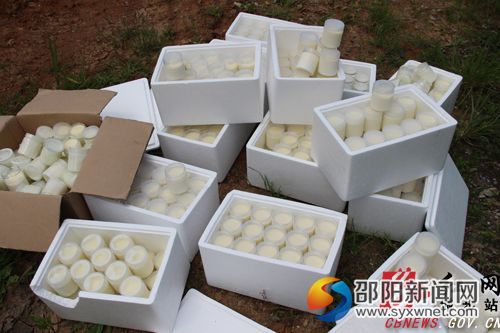 1被查获的非法生产经营手工酸奶
