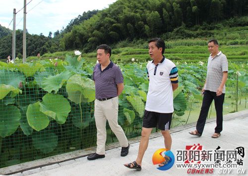 1县委常委、统战部长王炉军察看花龙荷花观光基地受灾情况。　　