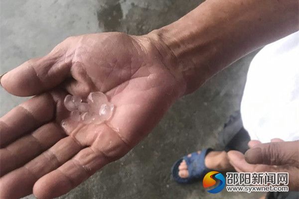 村民在地上捡到的冰雹。