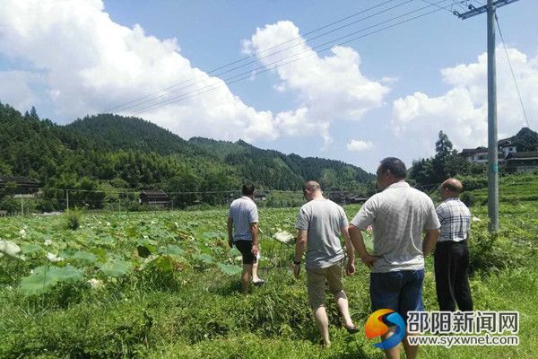 乡镇干部实地查看受灾情况。