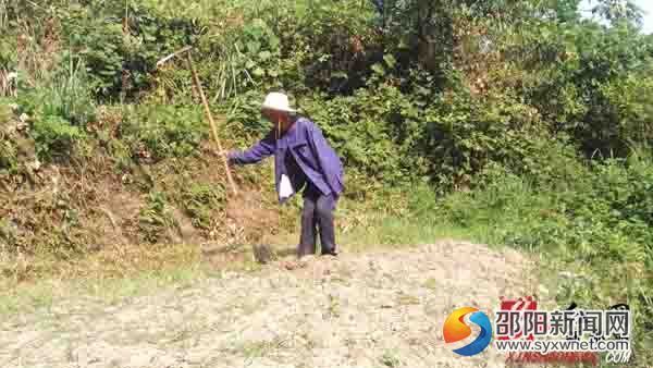 新邵县坪上镇独臂老人”谢建益在烈日下挖土劳作
