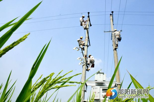 &ldquo;钢铁侠&rdquo;抗旱保电现场 (2)