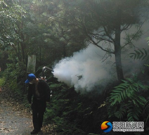 氯氰菊酯喷雾灭杀危害银杉的松毛虫