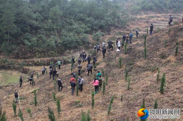 县直机关单位干部职工参加义务植树