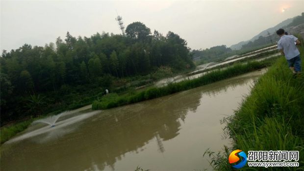 冰糖村鱼鳅养殖地